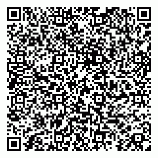 vCard 79185003403