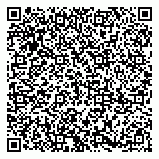 vCard 79185003409