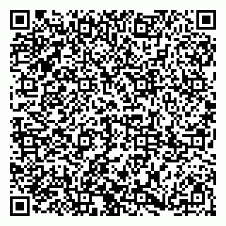 vCard 79185003497