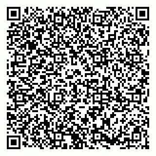 vCard 79185003531