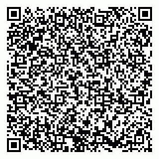 vCard 79185003538