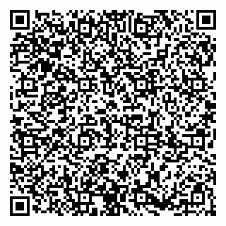 vCard 79185003539