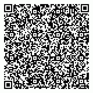 vCard 79185003651