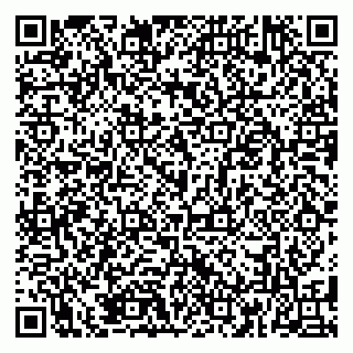 vCard 79185003653