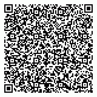 vCard 79185003681
