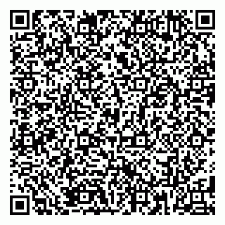 vCard 79185003731
