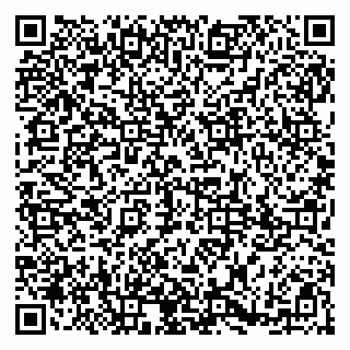 vCard 79185003741