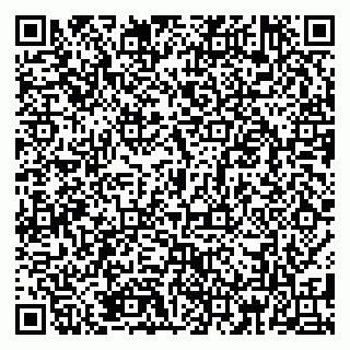 vCard 79185003863