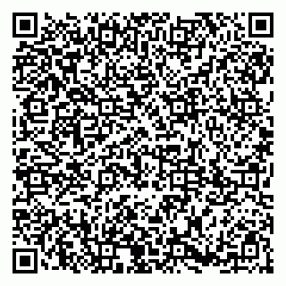 vCard 79185003929