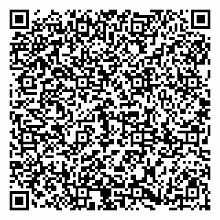 vCard 79185003987