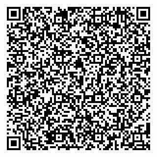 vCard 79185004009