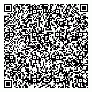 vCard 79185004010