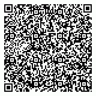 vCard 79185004013