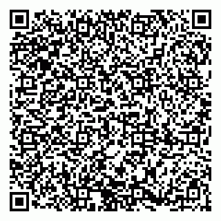 vCard 79185004019