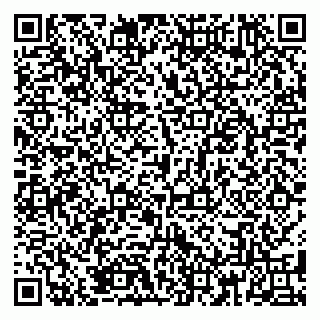 vCard 79185004027