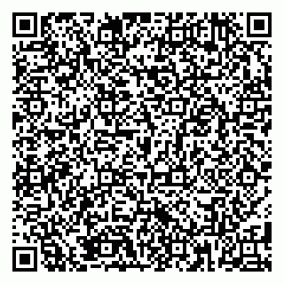 vCard 79185004031