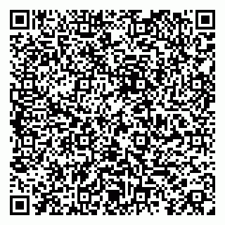 vCard 79185004033