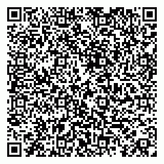 vCard 79185004037