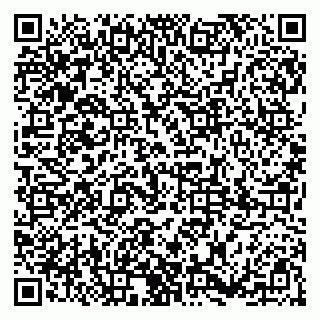 vCard 79185004038
