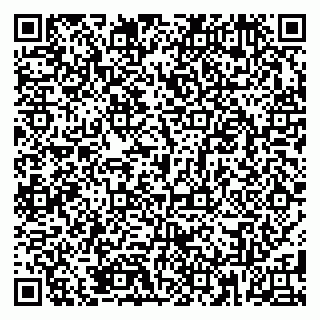 vCard 79185004039