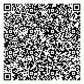 vCard 79185004063