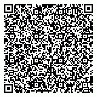vCard 79185004068