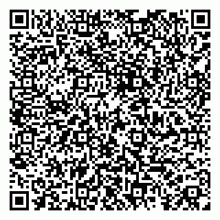 vCard 79185004082