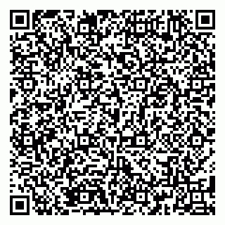 vCard 79185004087