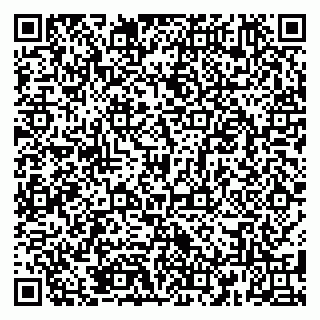 vCard 79185004096