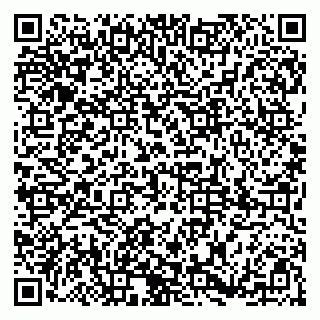 vCard 79185004111