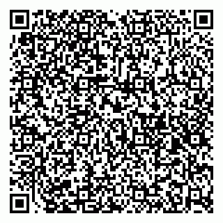 vCard 79185004113