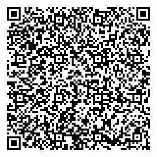 vCard 79185004131