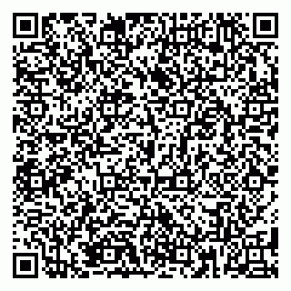 vCard 79185004135