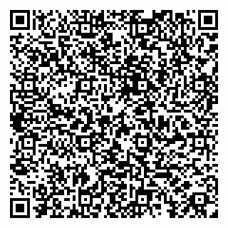 vCard 79185004165