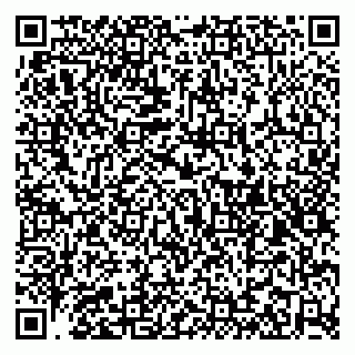 vCard 79185004174