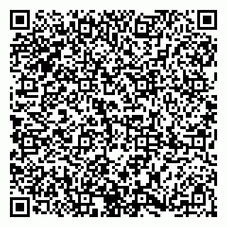 vCard 79185004196