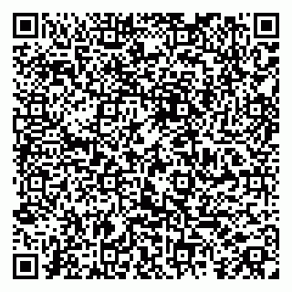 vCard 79185004199