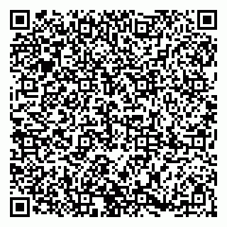 vCard 79185004205