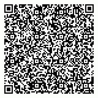 vCard 79185004237