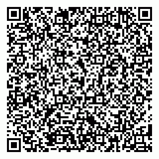 vCard 79185004271
