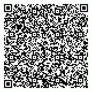 vCard 79185004287