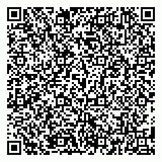 vCard 79185004347