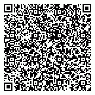 vCard 79185004352