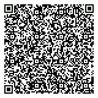vCard 79185004355