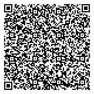 vCard 79185004375