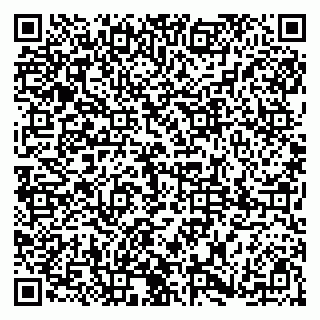 vCard 79185004384