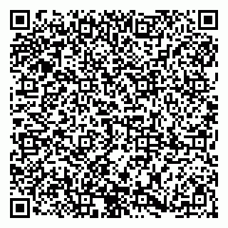vCard 79185004385