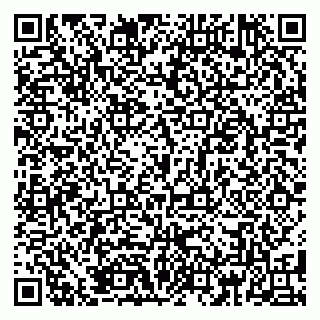 vCard 79185004563