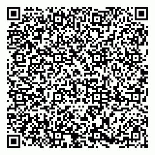 vCard 79185004576