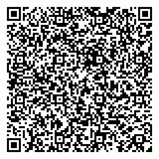 vCard 79185004734